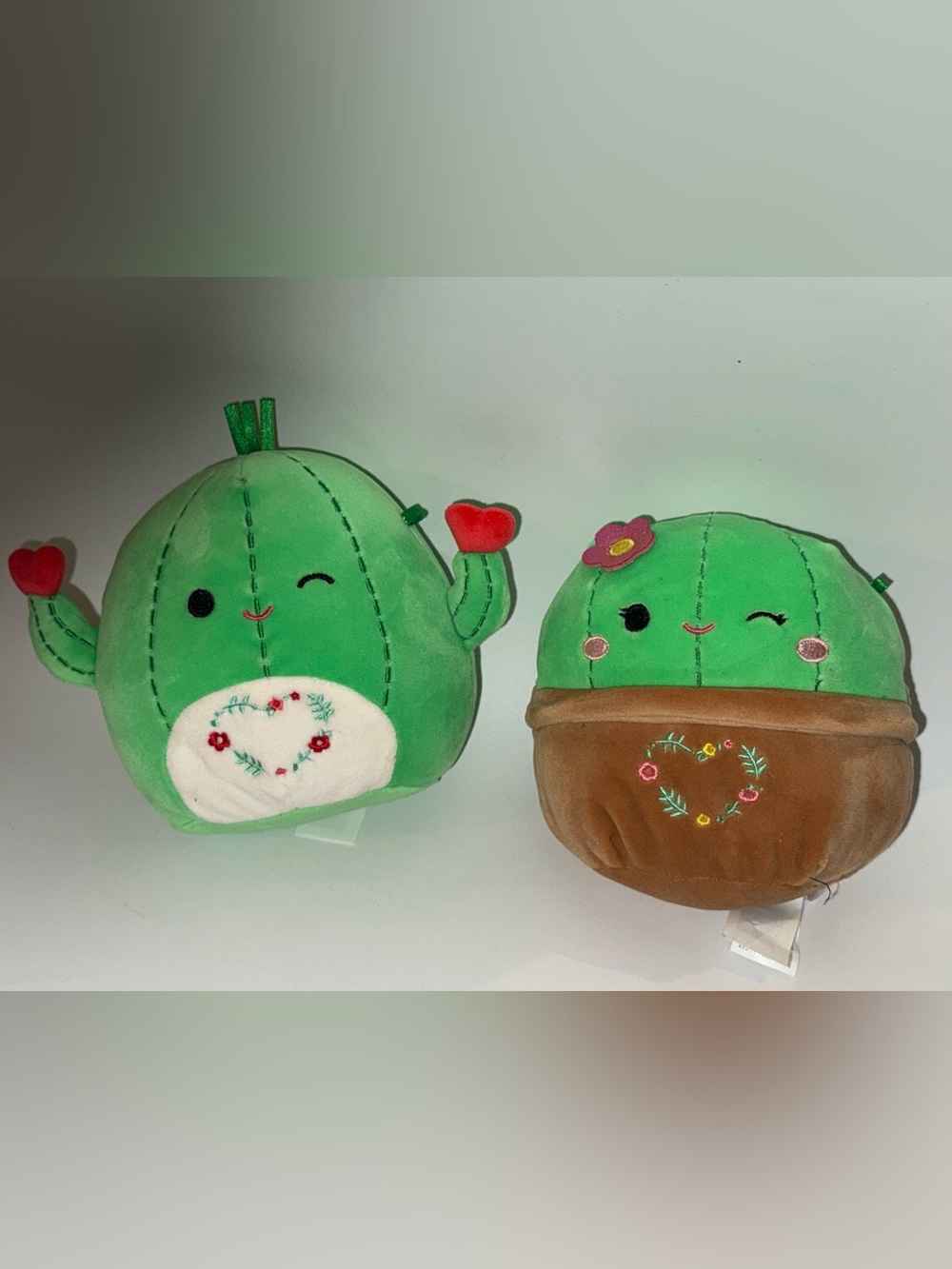 Squishmallows Green Cactus Plush Duo with Red and Brown Accents